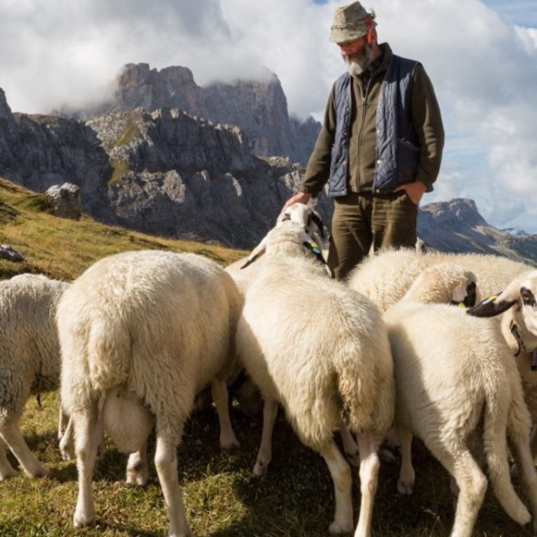 085838183-daa47a9a-748b-4e4e-84ca-1b3034458938