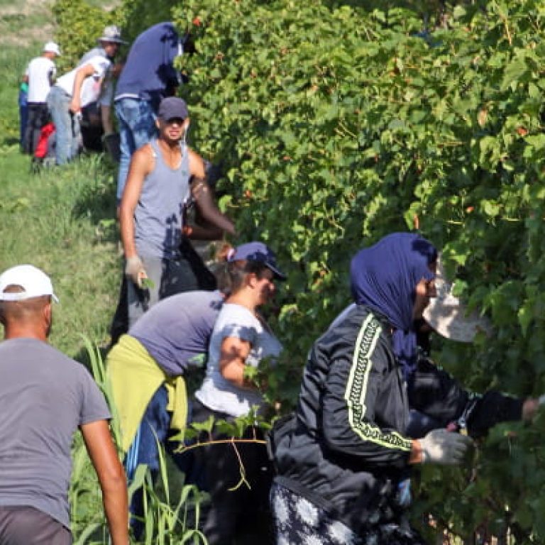 213758955-d081ebfb-5df5-4f64-b7ef-eee4f04755d5