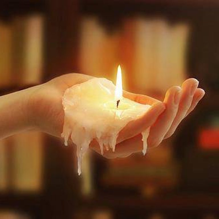 223da08532_7205520_med