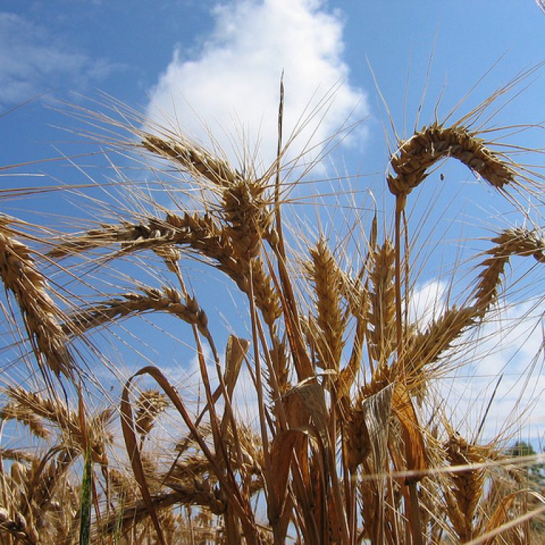 7418584096_2d982f4d95_z