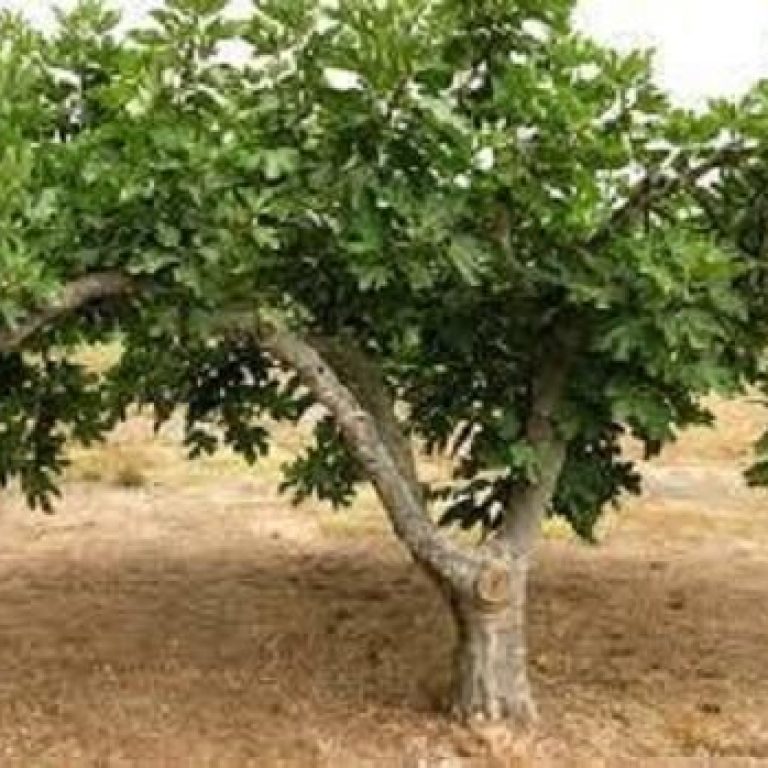 89acbca915a8c05a55675bc5679edfce