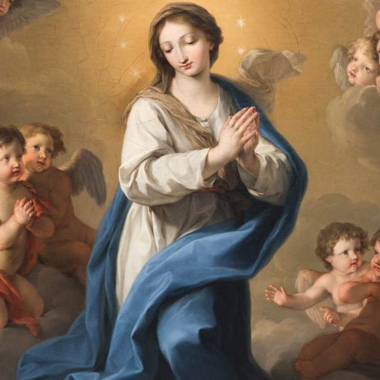 IMG20201208133402380_1000