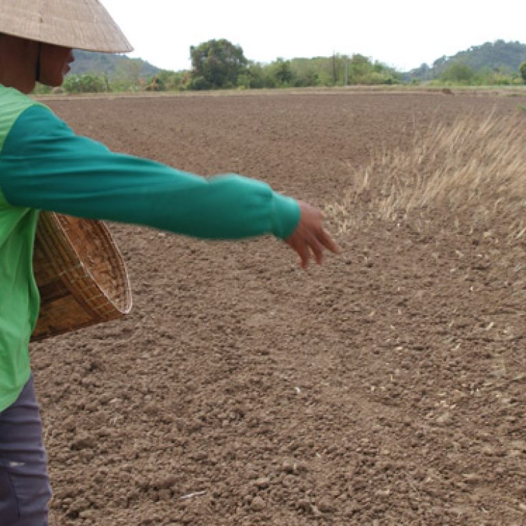 La-semina2.jpg_1041655378