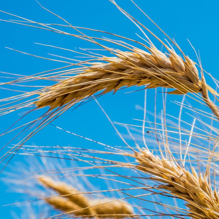 PDG_Signore-del-sabato