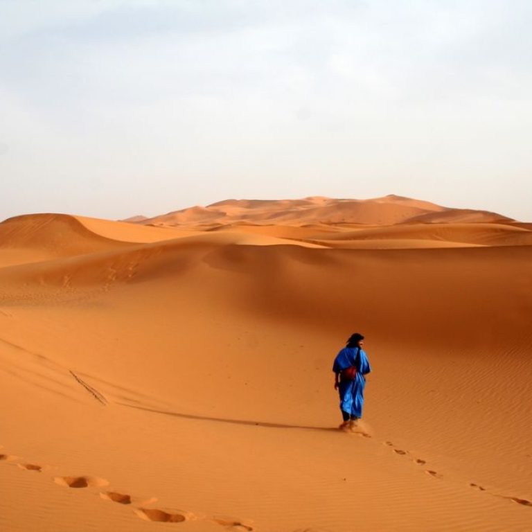 Voce-di-uno-che-grida-nel-deserto