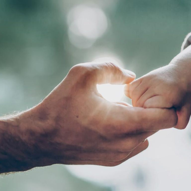 father and little son holding hands in sunlight. father's hand lead his child son in summer forest nature outdoor, trust, protecting, care, parenting family concept. road to life.