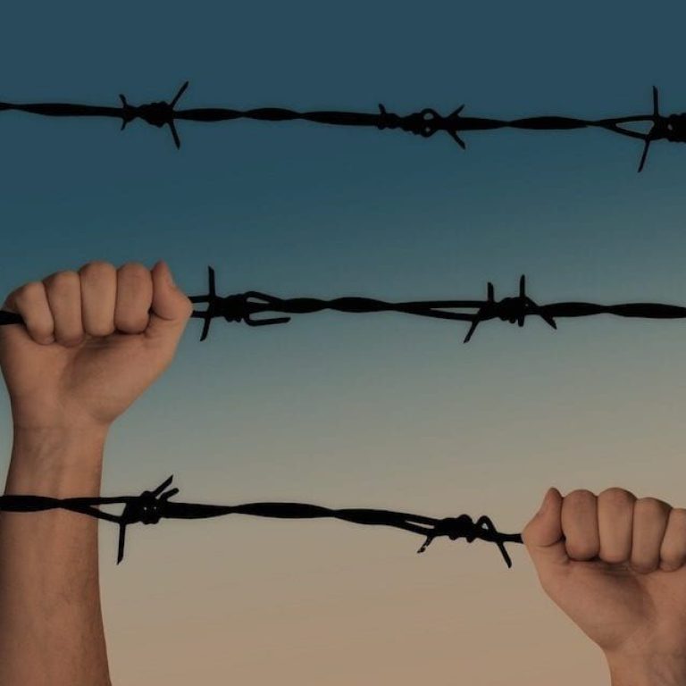 bbb02180bb8cc71522a76d90185784f7