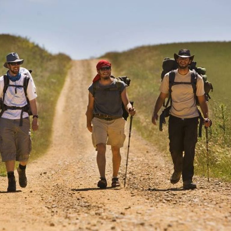 cammino-di-francesco1