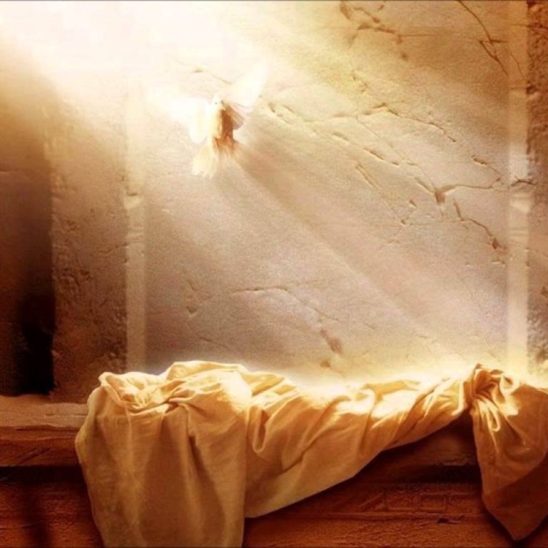 cristo-risorto-alba-della-fede_3d030f4a-641c-11e9-bc59-646cb6fa0aa4_1600_636