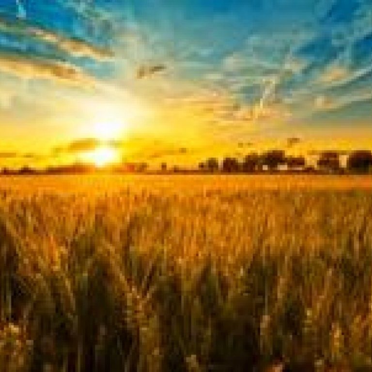 thumb_58306_1024_0_0_0_auto