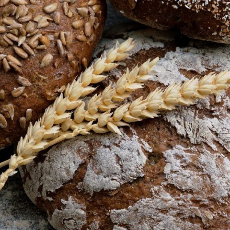 wesual-click-rsWZ-P9FbQ4-unsplash-1200x480